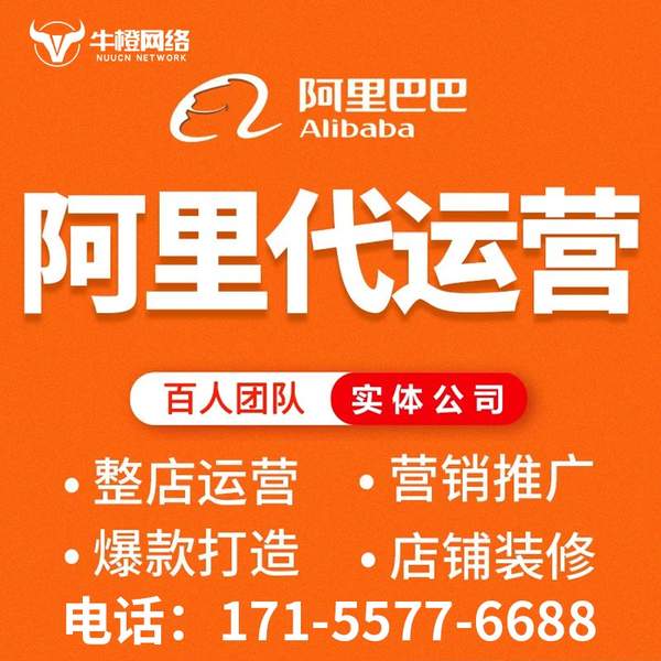 桐城电商代运营