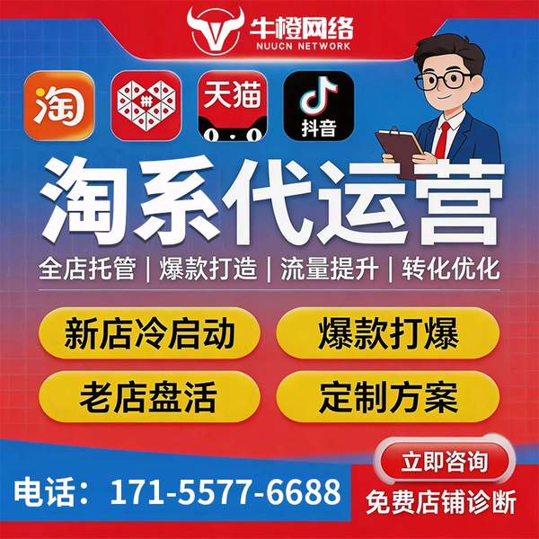 桐城电商代运营