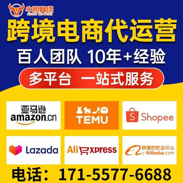 桐城电商代运营