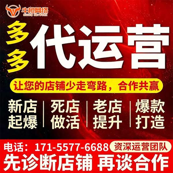 桐城电商代运营