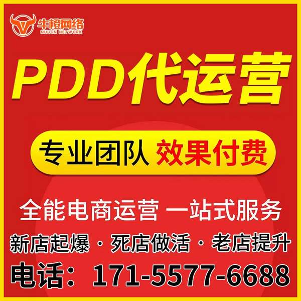 桐城电商代运营