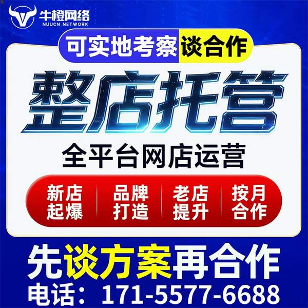 桐城电商代运营