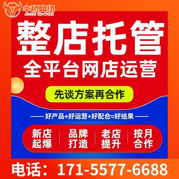 桐城电商代运营