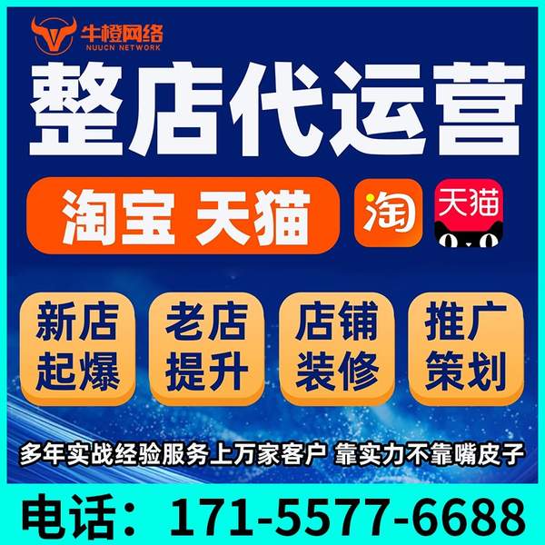桐城电商代运营