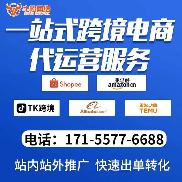 桐城电商代运营
