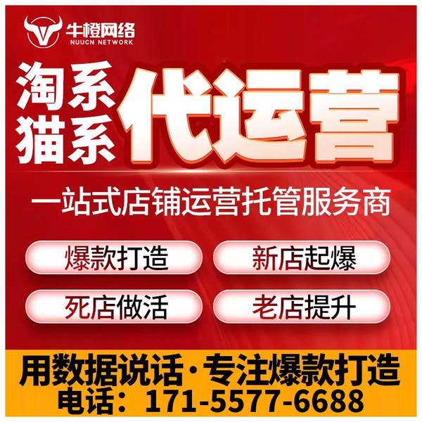 桐城电商代运营